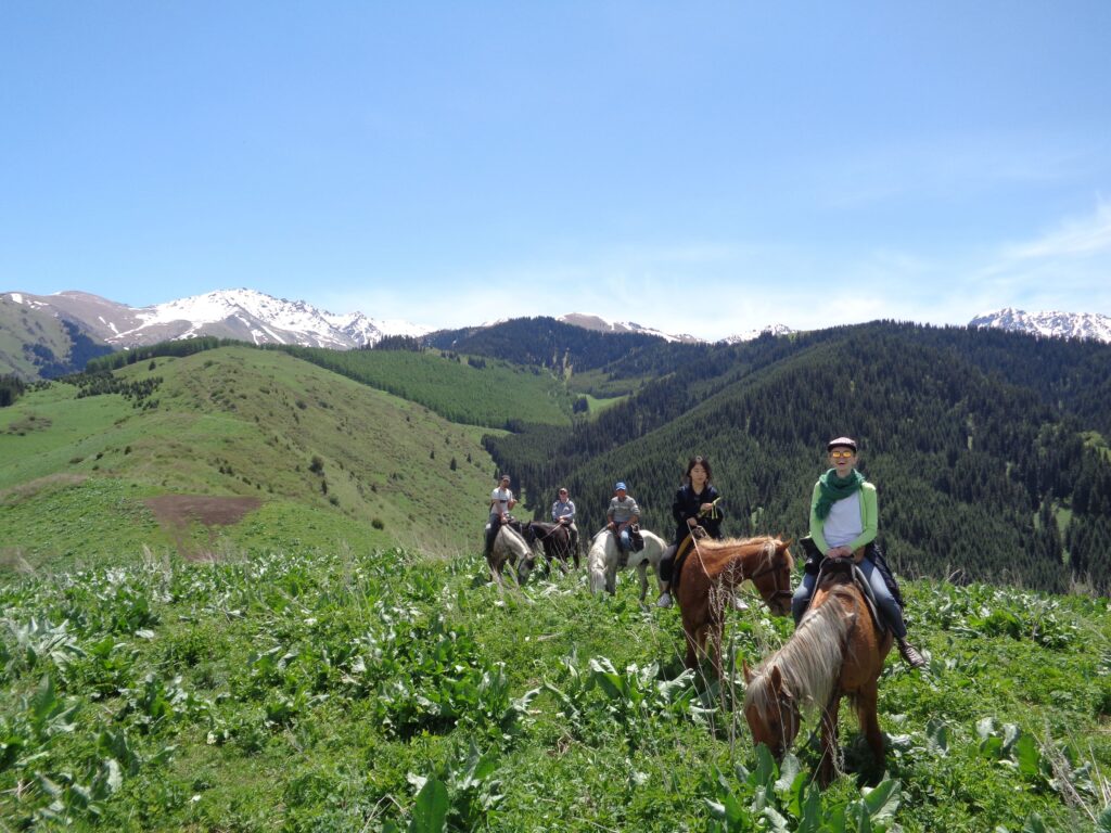 horse riding tour 2489482